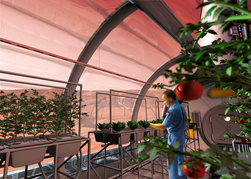 Illustration for article titled Un botánico de la NASA nos explica qué necesitamos para cultivar en Marte, como en The Martian